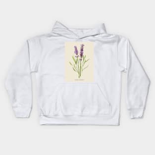 Lavender Antique Botanical Illustration Kids Hoodie